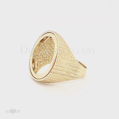 9ct Half/Full Sovereign Mount Ring with Solid Brushed Sides